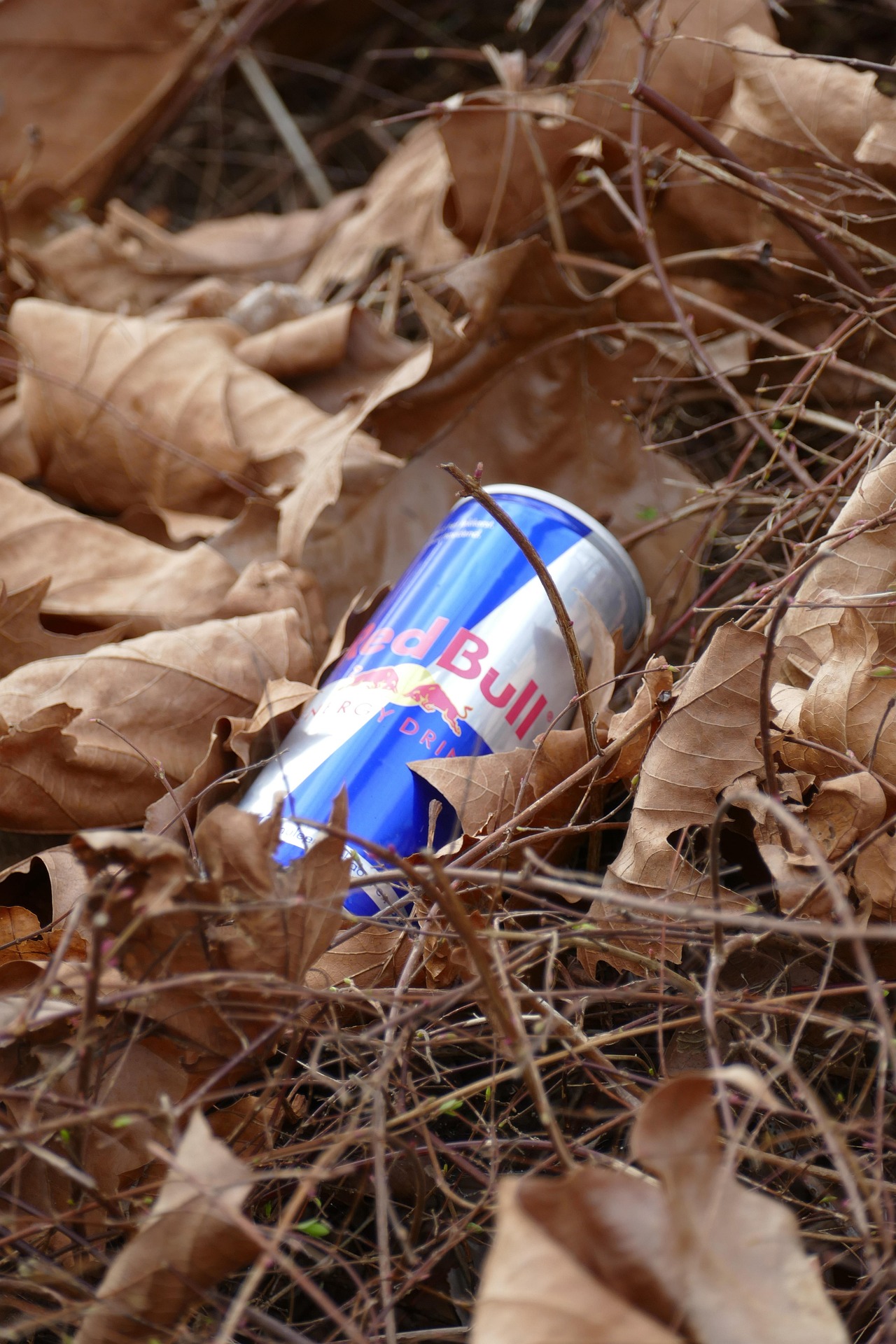 Red Bull